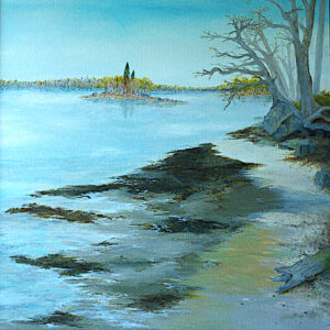 Adams Point – Oil on Canvas